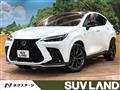 2024 Lexus NX
