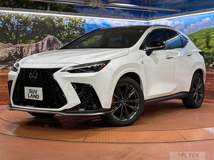 2024 Lexus NX