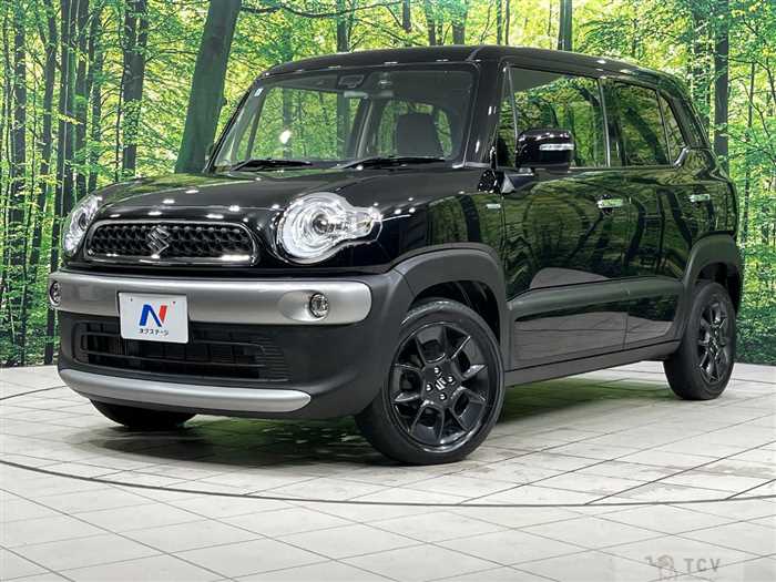 2019 Suzuki Suzuki Others