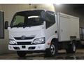 2019 Toyota Dyna Truck