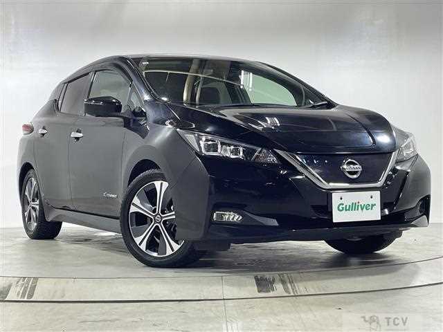 2019 Nissan Leaf