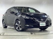 2019 Nissan Leaf
