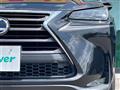 2014 Lexus NX