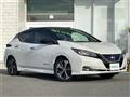 2018 Nissan Leaf