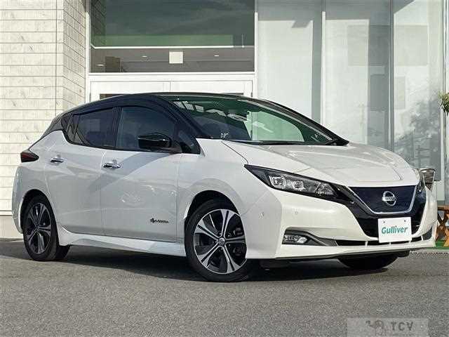 2018 Nissan Leaf