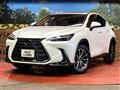 2025 Lexus NX