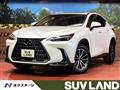 2025 Lexus NX