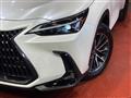 2025 Lexus NX