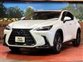 2025 Lexus NX