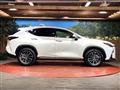 2025 Lexus NX