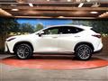 2025 Lexus NX