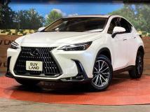 2025 Lexus NX