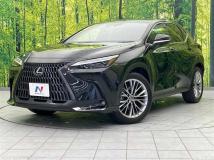 2022 Lexus NX