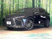 2023 Lexus NX