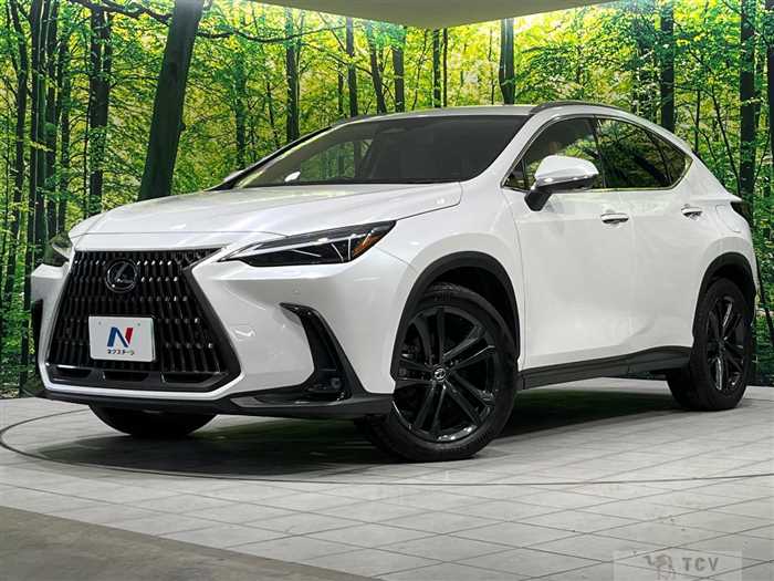2023 Lexus NX