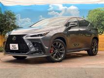 2021 Lexus NX