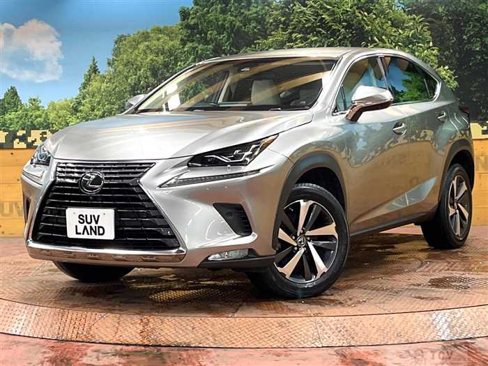 2018 Lexus NX