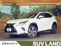 2020 Lexus NX