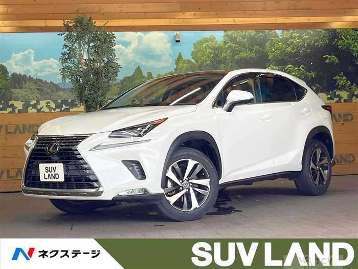 2020 Lexus NX
