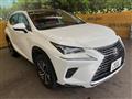 2020 Lexus NX