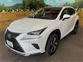 2020 Lexus NX