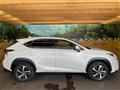 2020 Lexus NX