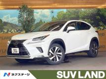 2020 Lexus NX