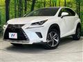 2019 Lexus NX