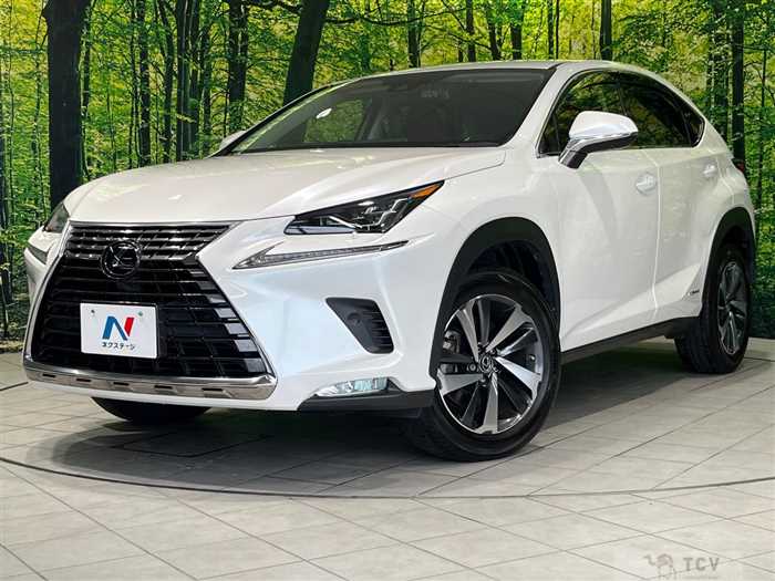 2019 Lexus NX