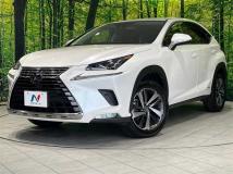 2019 Lexus NX