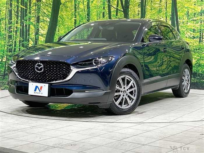 2019 Mazda Mazda Others