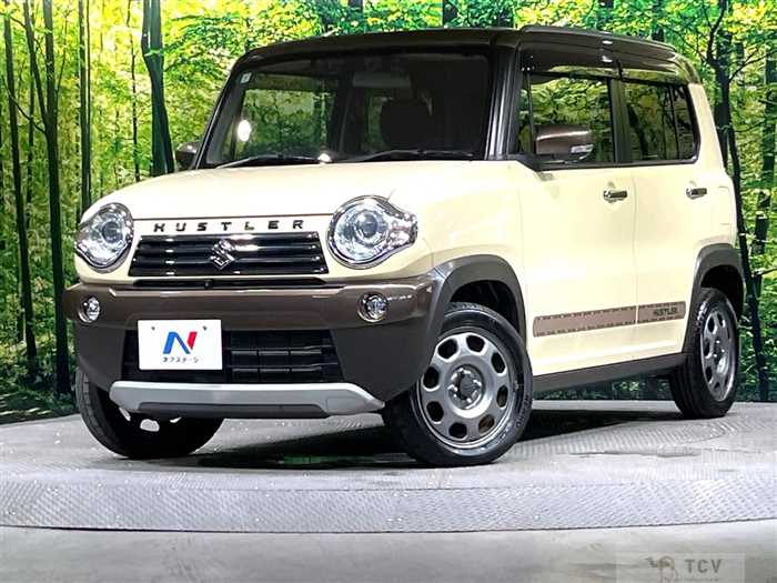 2019 Suzuki Hustler