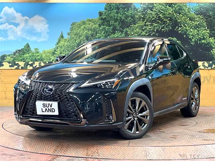 2021 Lexus Other