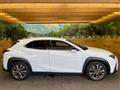 2023 Lexus Other