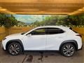 2023 Lexus Other