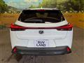 2023 Lexus Other