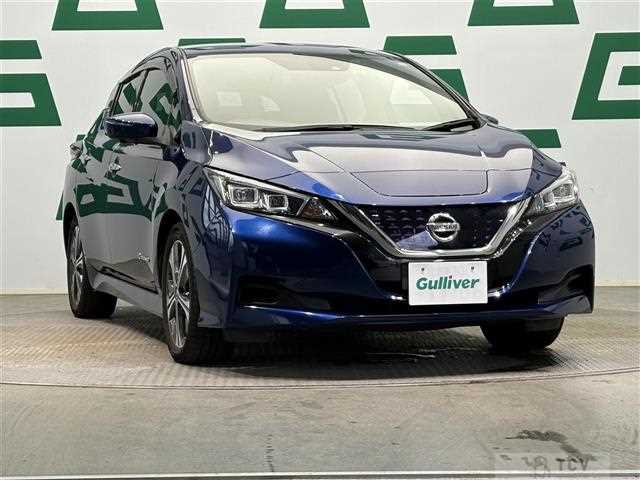 2019 Nissan Leaf