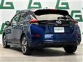 2019 Nissan Leaf