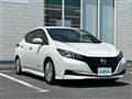 2021 Nissan Leaf