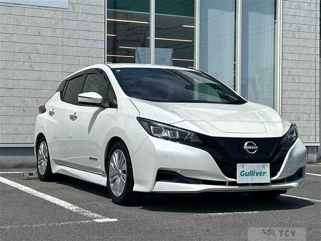 2021 Nissan Leaf