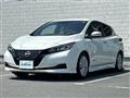 2021 Nissan Leaf