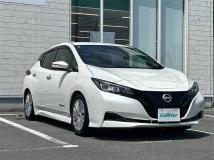 2021 Nissan Leaf