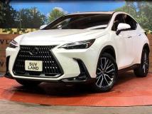 2023 Lexus NX