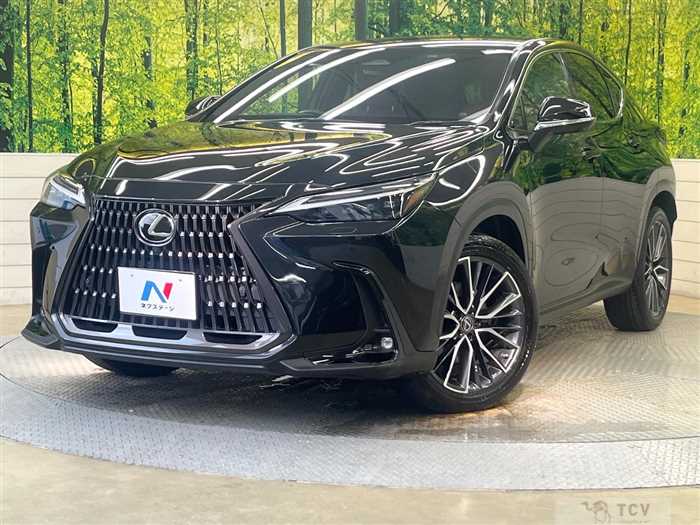 2022 Lexus NX