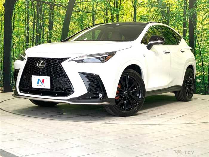 2025 Lexus NX