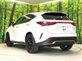 2025 Lexus NX