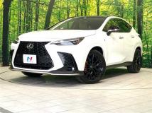 2025 Lexus NX