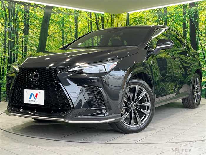 2023 Lexus NX