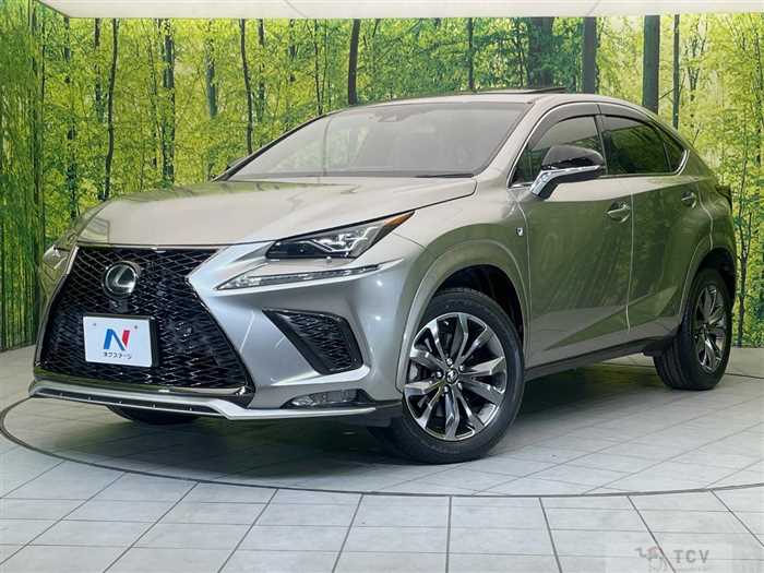 2017 Lexus NX