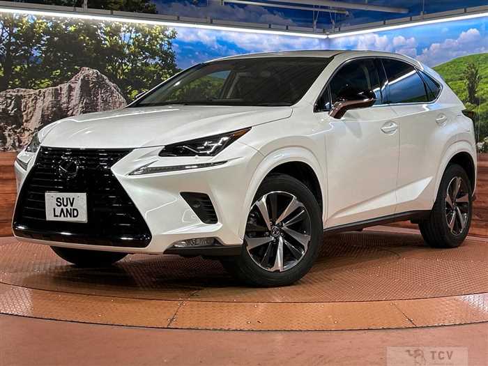 2019 Lexus NX